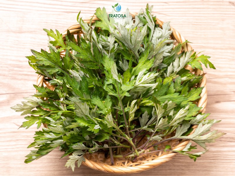 Sử dụng trà ngải cứu để giảm cân