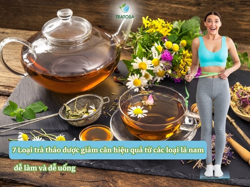7 Loại trà thảo dược giảm cân hiệu quả từ các loại lá nam, dễ làm và dễ uống