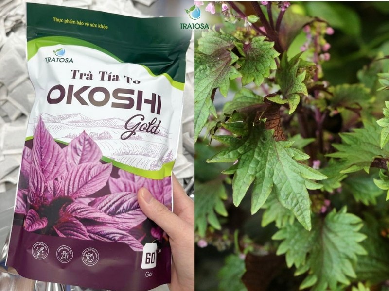 Trà tía tô Okoshi Gold từ 7 loại thảo dược từ thiên nhiên