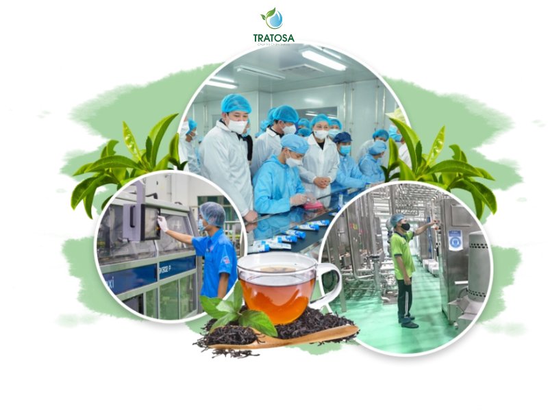 Tratosa - Đơn vị đi đầu trong lĩnh vực trà thảo dược