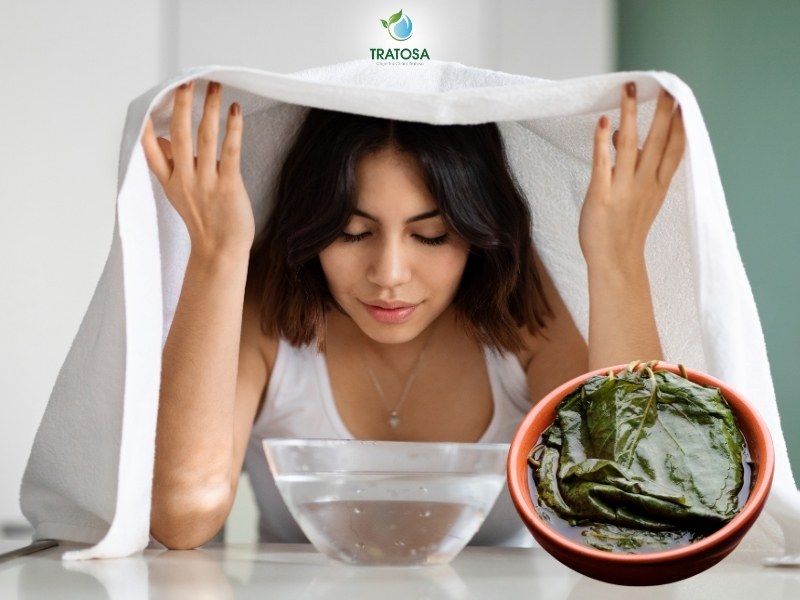 Sử dụng lá tía tô để trị nám bằng cách xông mặt