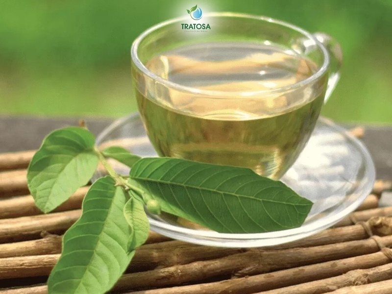 Trà búp ổi có tác dụng gì? 6 tác dụng của trà lá ổi giúp cải thiện sức khỏe toàn diện, những lưu ý khi sử dụng Cách làm trà lá ổi tại nhà để hỗ trợ điều trị đái tháo đường