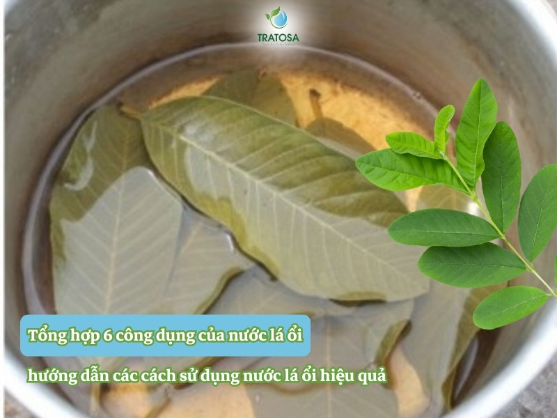 Tổng hợp 6 công dụng của nước lá ổi, hướng dẫn các cách sử dụng nước lá ổi hiệu quả