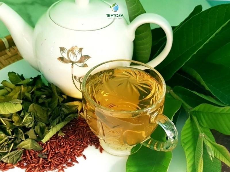 Tổng hợp 6 công dụng của nước lá ổi, hướng dẫn các cách sử dụng nước lá ổi hiệu quả Nước lá ổi giúp hỗ trợ điều trị bệnh đái tháo đường và máu nhiễm mỡ