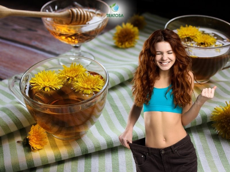 Tác dụng của trà bồ công anh giúp hỗ trợ giảm cân hiệu quả