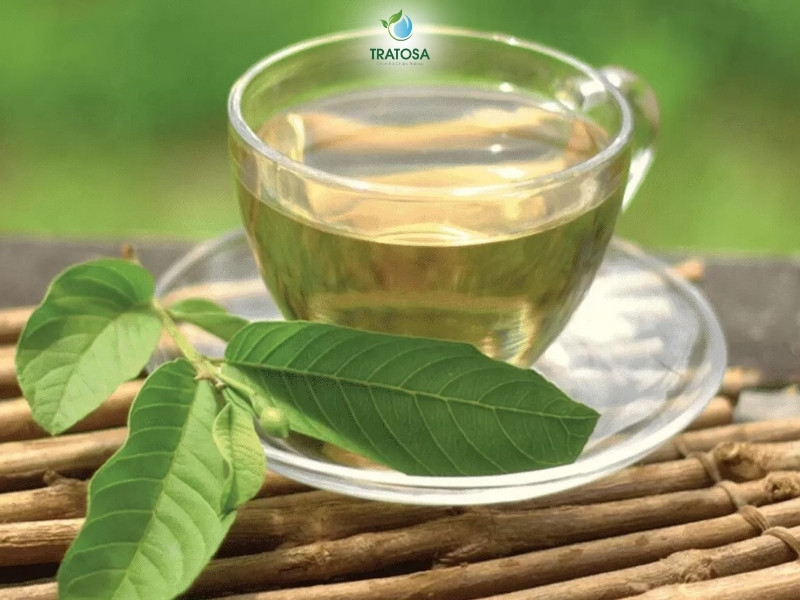 Nên uống trà lá ổi vào lúc nào? 3 thời điểm uống mang lại hiệu quả tốt nhất Tác dụng của trà lá ổi giúp hỗ trợ làm giảm đường huyết