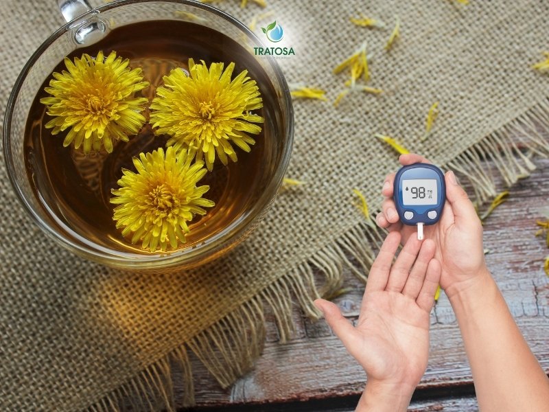 Tác dụng của trà bồ công anh giúp làm giảm nguy cơ phát triển bệnh tiểu đường