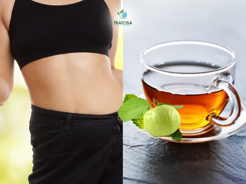 Nên uống trà lá ổi vào lúc nào? 3 thời điểm uống mang lại hiệu quả tốt nhất Trà búp ổi giúp hỗ trợ giảm cân hiệu quả