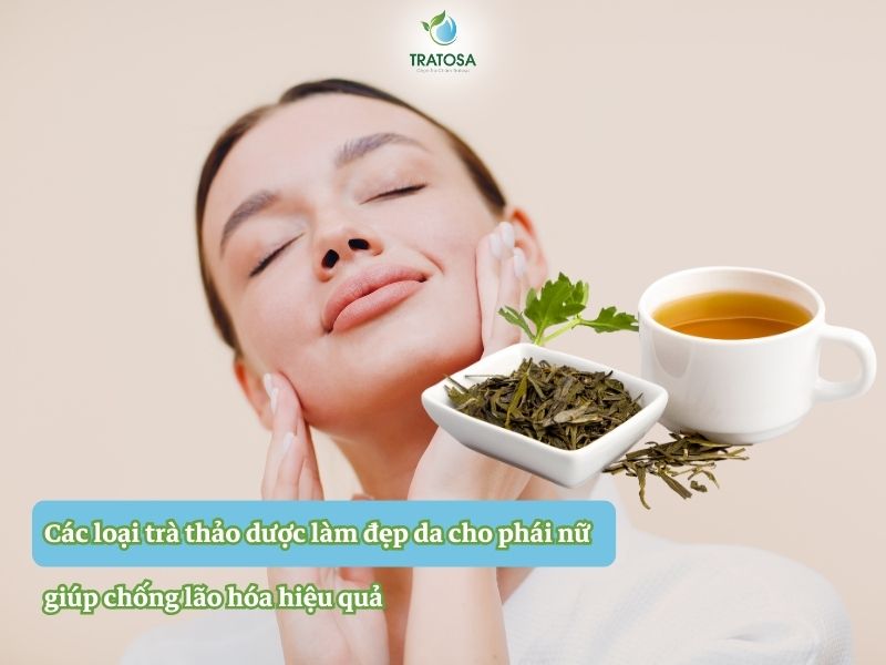 Các loại trà thảo dược làm đẹp da cho phái nữ giúp chống lão hóa