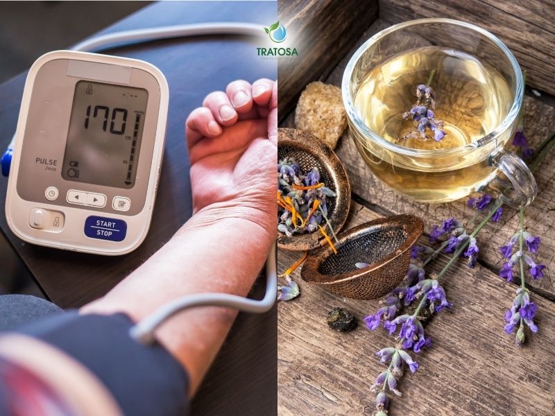 11 loại trà thảo dược hạ huyết áp | Trà hạ huyết áp, những lưu ý khi sử dụng và 1 số phương pháp giúp hạ huyết áp Ưu nhược điểm khi sử dụng trà thảo dược hạ huyết áp