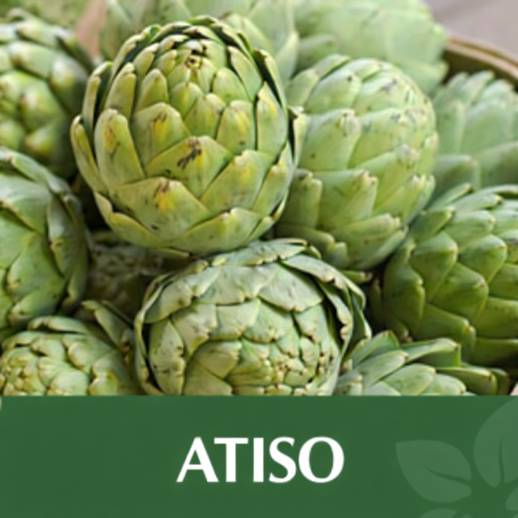 5108f908 ab58 4b55 a553 0f3ceb4badf1