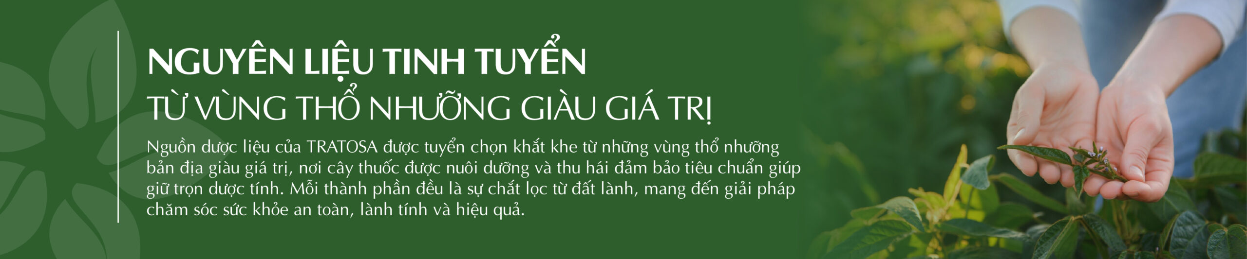 nguyen lieu 01 1 scaled