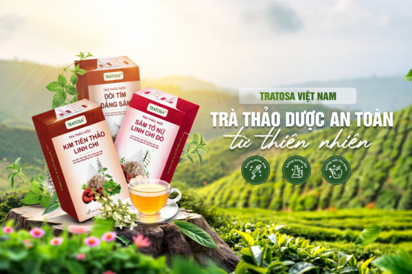trà thảo dược TRATOSA từ nguyên liệu thiên nhiên an toàn cho sức khỏe