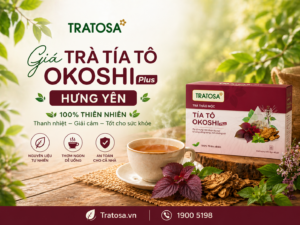 Giá trà tía tô Okoshi Plus Hưng Yên TRATOSA 169000 đồng hộp 33 túi lọc