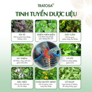 Thành phần trà tía tô Okoshi Tratosa gồm tía tô, thiên niên kiện, dây gắm, lá lốt hỗ trợ xương khớp