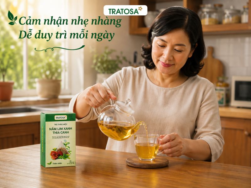 nấm lim xanh có tác dụng gì cảm nhận khi sử dụng trà mỗi ngày