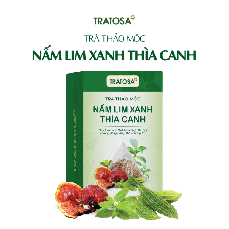 Nấm lim xanh có tác dụng gì