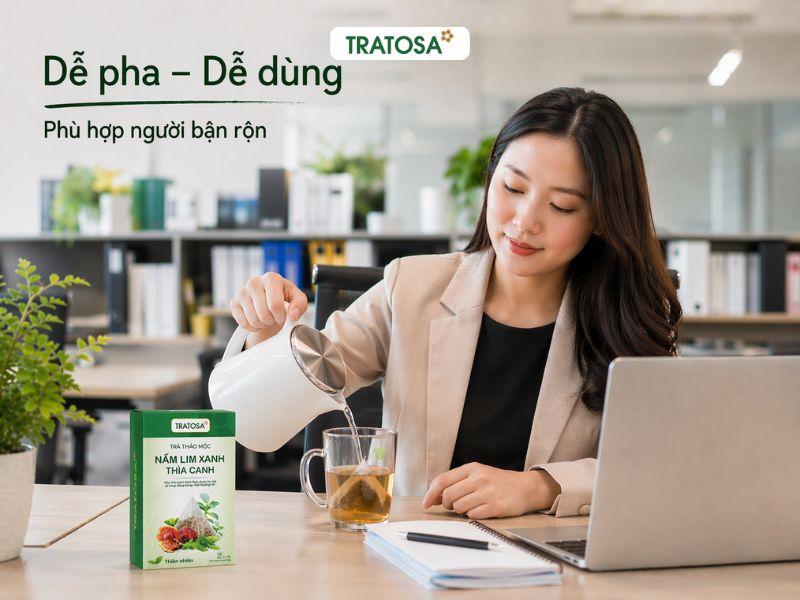 nấm lim xanh có tác dụng gì cách pha trà túi lọc tiện lợi