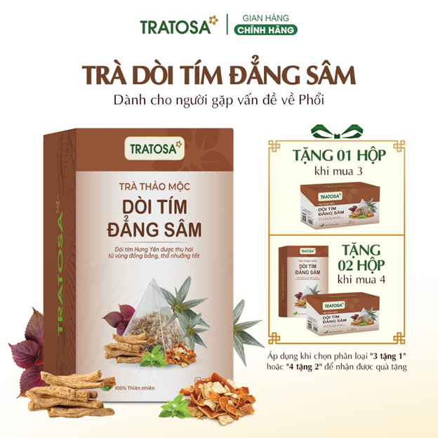 Sản phẩm Trà Dòi Tím Đẳng Sâm TRATOSA, tìm hiểu trà dòi tím đẳng sâm có tác dụng gì và cách dùng phù hợp