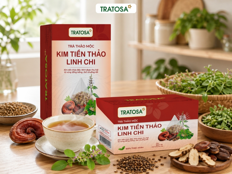Trà kim tiền thảo linh chi TRATOSA dạng túi lọc đặt trên bàn gỗ, dễ sử dụng hằng ngày