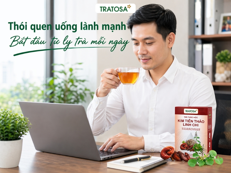 trà kim tiền thảo dùng mỗi ngày cho người quan tâm sức khỏe