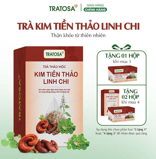 tra kim tien thao co tot cho than khong 4