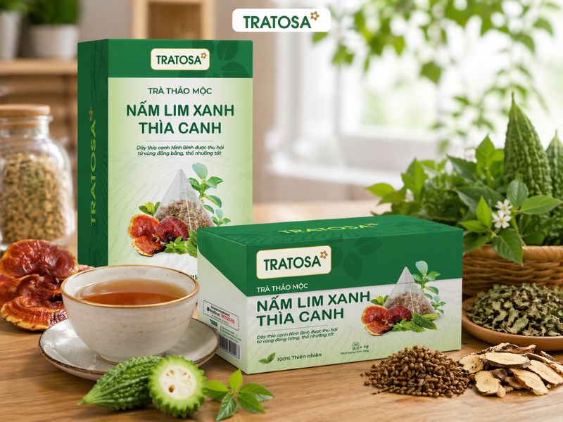 thành phần nấm lim xanh trong trà cho người tiểu đường
