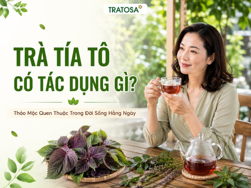 Trà tía tô có tác dụng gì? Hình ảnh phụ nữ thưởng thức trà tía tô cùng lá tía tô tươi trong không gian thư giãn