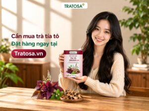 Trà tía tô Okoshi Plus Hưng Yên Tratosa chính hãng, dễ uống, đặt mua tại Tratosa.vn
