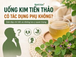 Uống kim tiền thảo có tác dụng phụ không, hình ảnh ly trà thảo mộc và lá kim tiền thảo