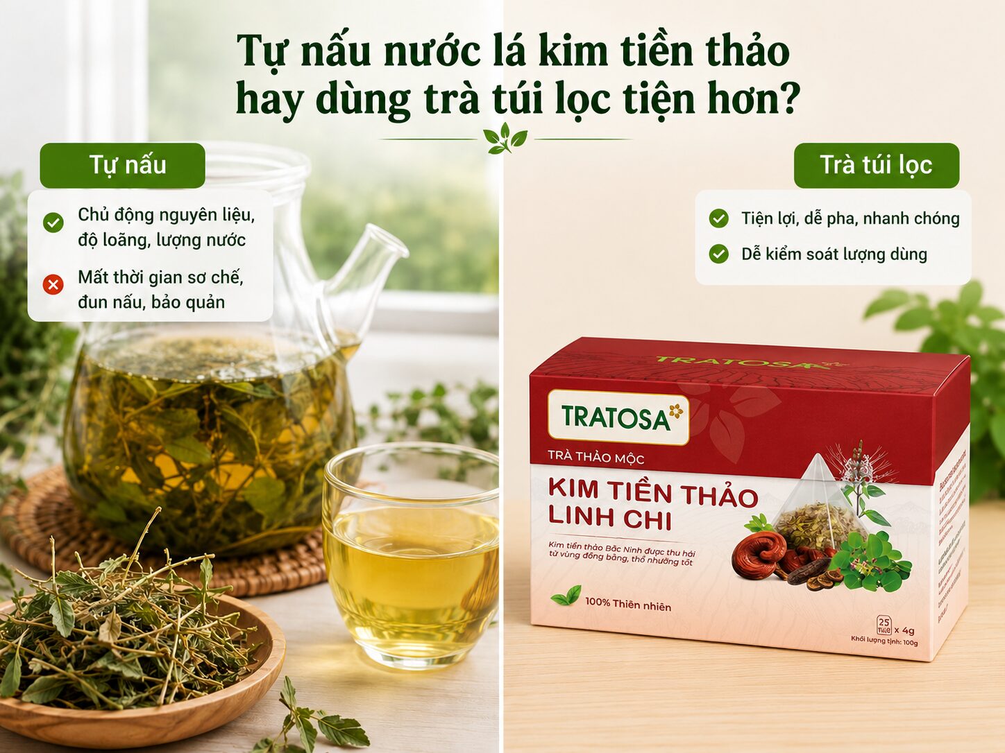 Cách nấu nước lá kim tiền thảo đúng cách, dễ uống và lưu ý khi dùng cach nau nuoc la kim tien thao 2 1