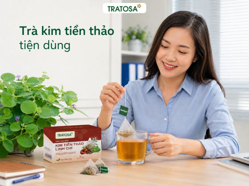 Cây kim tiền thảo có tác dụng gì khi dùng dưới dạng trà túi lọc tiện lợi