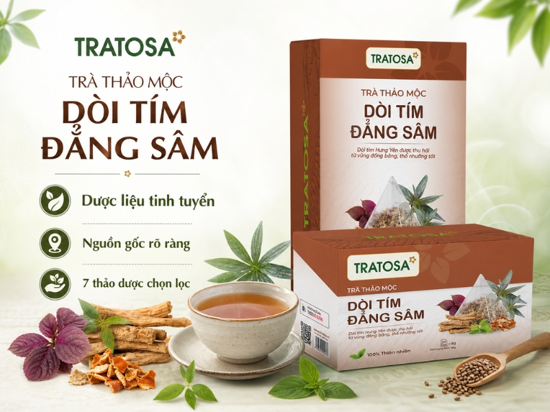 Dược liệu trong Trà dòi tím đẳng sâm Hưng Yên TRATOSA chính hãng