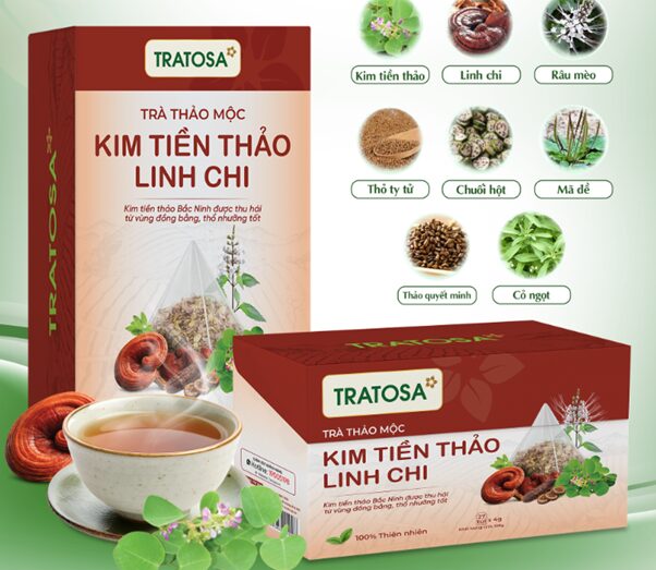 Kim tiền thảo và râu mèo có tác dụng gì? Vì sao thường có trong trà tiết niệu? kim tiền thảo và râu mèo có tác dụng gì trong trà Kim Tiền Thảo Linh Chi TRATOSA