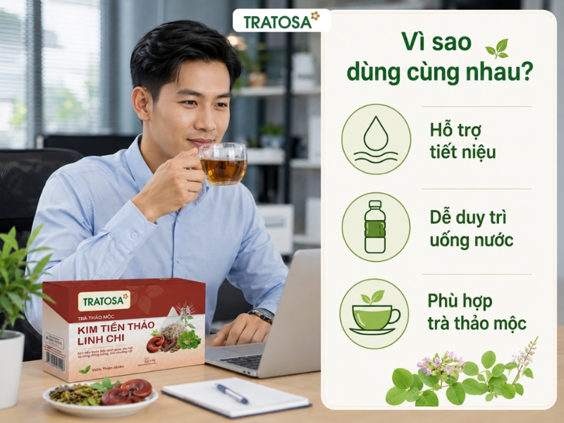 Kim tiền thảo và râu mèo có tác dụng gì? Vì sao thường có trong trà tiết niệu? kim tiền thảo và râu mèo có tác dụng gì khi dùng cùng nhau