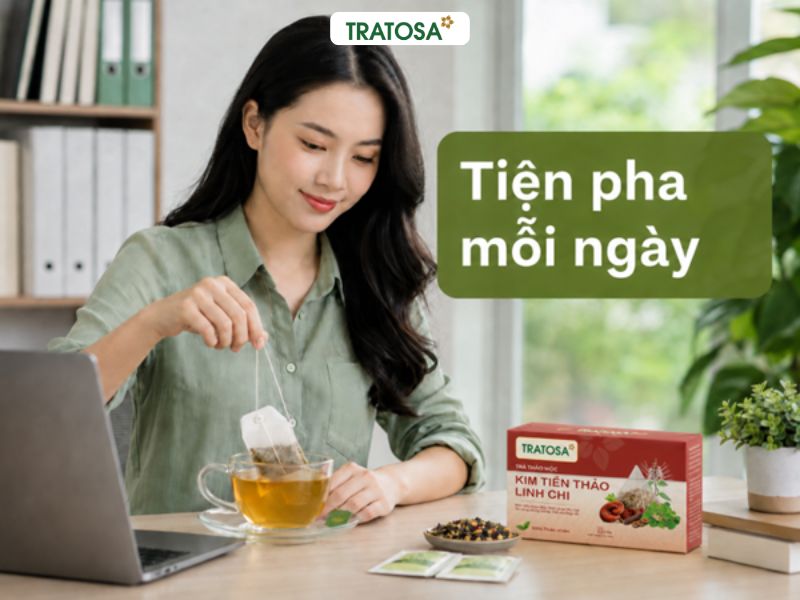 Lá kim tiền thảo có tác dụng gì? Có nên uống hằng ngày không? Trà túi lọc kim tiền thảo linh chi tiện pha mỗi ngày