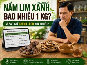 Người tiêu dùng tìm hiểu nấm lim xanh bao nhiêu 1 kg và các yếu tố ảnh hưởng đến giá bán