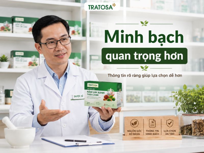 Nấm lim xanh bao nhiêu 1 kg và tầm quan trọng của nguồn gốc rõ ràng