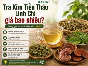 tra kim tien thao linh chi gia bao nhieu 4