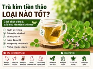 tra kim tien thao loai nao tot