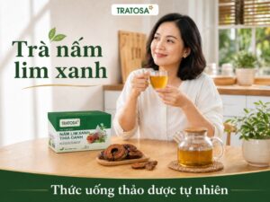 tra nam lim xanh 2