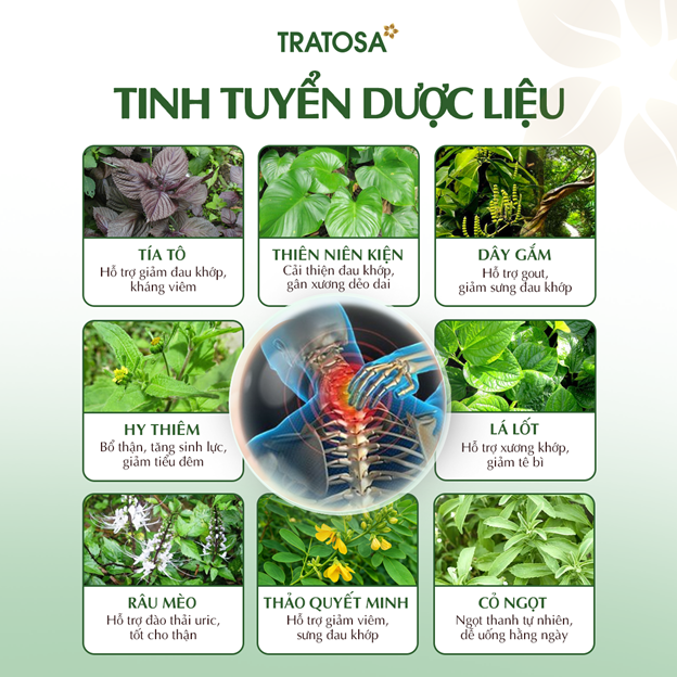 tra tia to okoshi plus hung yen 3