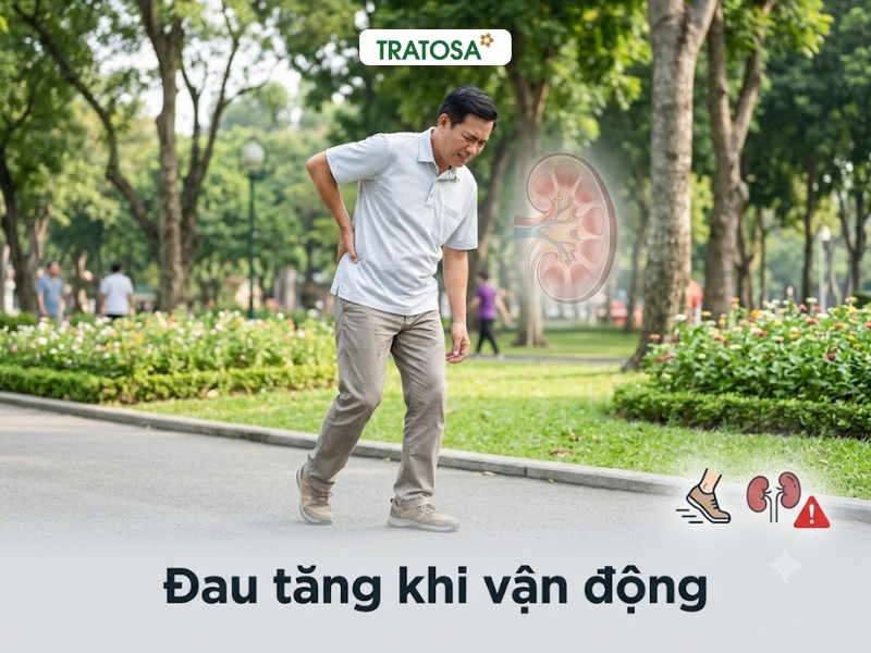 9 Dấu Hiệu Sỏi Thận Giai Đoạn Đầu Cần Nhận Biết Sớm Đau hông lưng tăng khi vận động là dấu hiệu sỏi thận giai đoạn đầu
