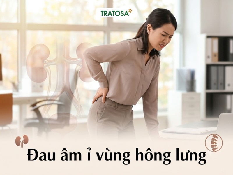 9 Dấu Hiệu Sỏi Thận Giai Đoạn Đầu Cần Nhận Biết Sớm Đau âm ỉ vùng hông lưng có thể là dấu hiệu sỏi thận giai đoạn đầu
