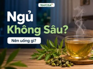 Tách trà thảo dược nóng với lá đinh lăng, tâm sen và hoa lạc tiên trên bàn gỗ trong phòng ngủ, minh họa chủ đề ngủ không sâu giấc nên uống gì để hỗ trợ ngủ ngon tự nhiên.