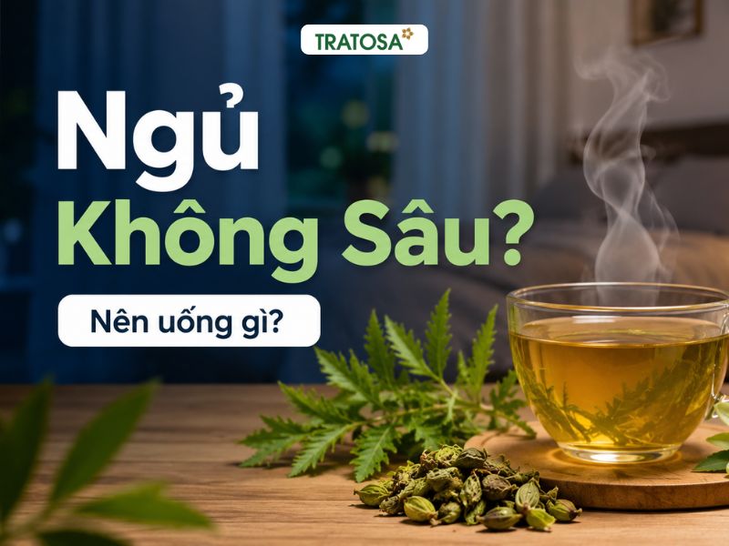 Tách trà thảo dược nóng với lá đinh lăng, tâm sen và hoa lạc tiên trên bàn gỗ trong phòng ngủ, minh họa chủ đề ngủ không sâu giấc nên uống gì để hỗ trợ ngủ ngon tự nhiên.