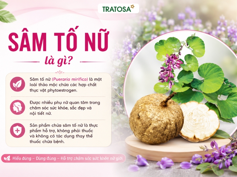 Sâm tố nữ là gì và vai trò của sâm tố nữ trong các sản phẩm dành cho phụ nữ