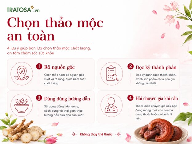 Loại thảo mộc cân bằng nội tiết tố nữ nào thường được phụ nữ quan tâm? Hướng dẫn lựa chọn thảo mộc cân bằng nội tiết tố nữ có nguồn gốc rõ ràng