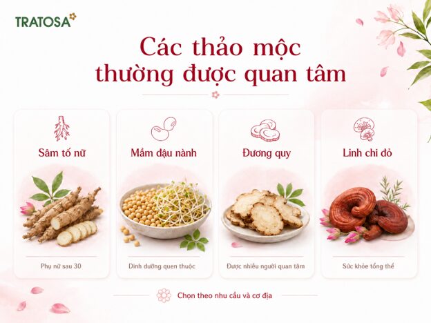 Loại thảo mộc cân bằng nội tiết tố nữ nào thường được phụ nữ quan tâm? Những loại thảo mộc cân bằng nội tiết tố nữ được nhiều phụ nữ tìm hiểu và sử dụng