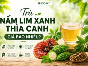 Trà nấm lim xanh thìa canh giá bao nhiêu và những yếu tố cần quan tâm trước khi mua